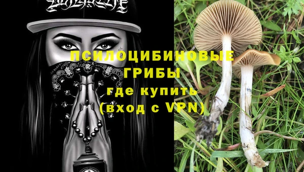 ПСИЛОЦИБИНОВЫЕ ГРИБЫ Лихославль