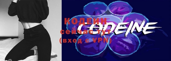 соль ск Лиски