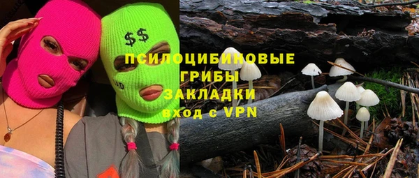 соль ск Лиски
