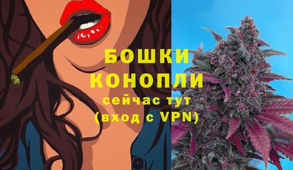 крисы Липки