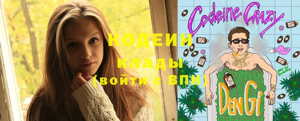 бошки Лабытнанги
